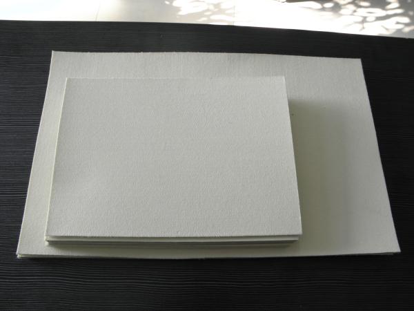 Protection stratifiée par coussin chaud de laine de presse pour le lamineur de presse de Smart Card