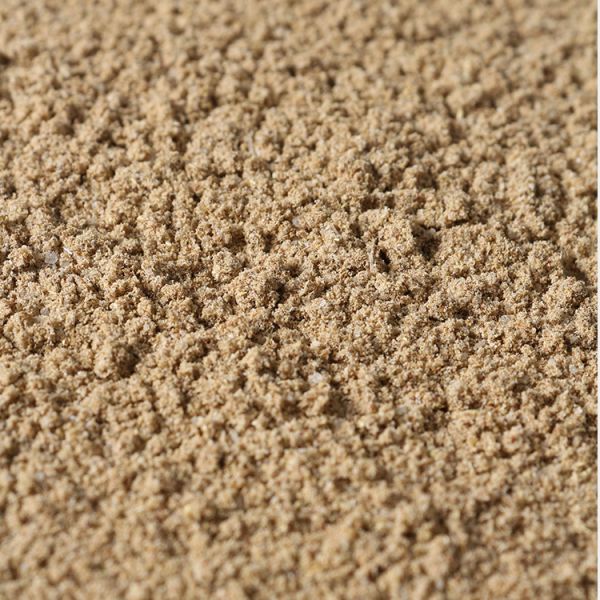 Factory Supply Blended Raw Cumin Powder Chinese Flavor Seasoning for Cooking Dried Cumin Sprinkle