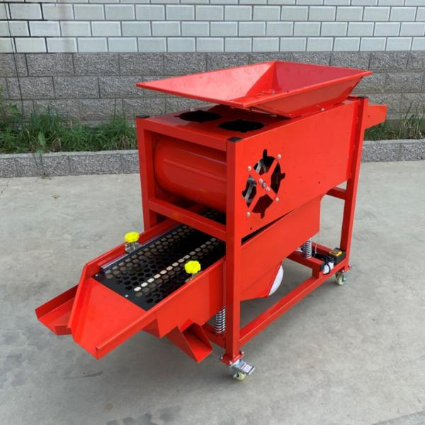 garlic bulb  separating and grading  machine  ，garlic bulb into cloves and grading  integrated maching  RYFF-800