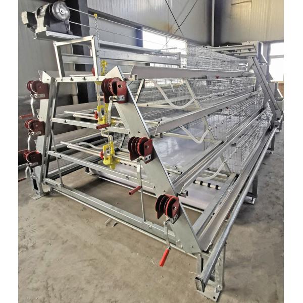 Цыпленок птицы поднимая клетку, батарею клетка цыпленка 4/3 яруса