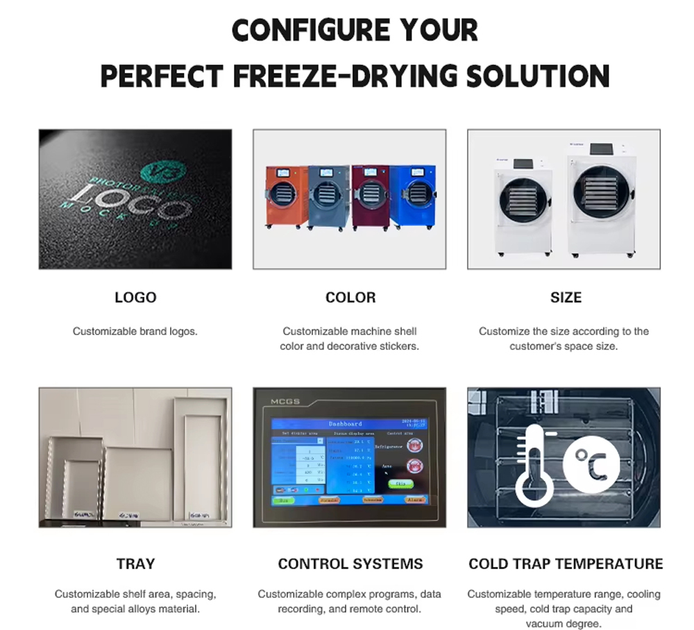 -60°C Cold Trap Vacuum Freeze Dryer 12–14kg/batch Freeze Drying Machine for Food Preservation