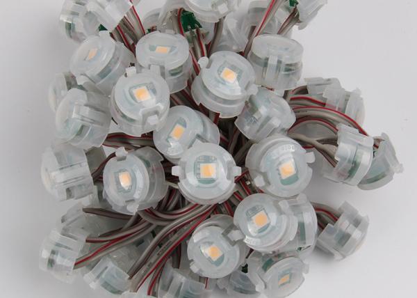 o pixel impermeável da cor SMD 5050 brancos de 20mm conduziu luzes para a decoração