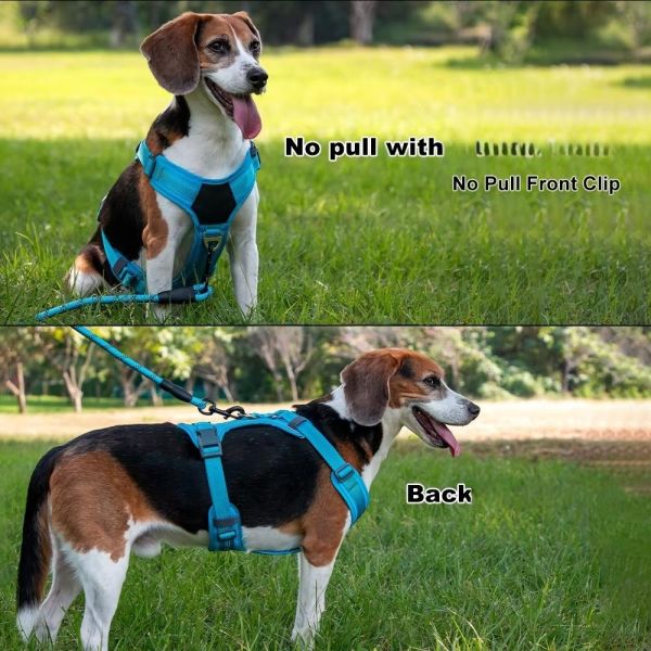 H Shape Comfortable Dog Harness Waterproof Pet Harness Leather Front Chest Design For Summer Use