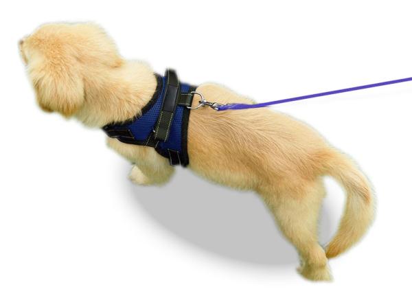 Soft Breathable Dog Mesh Vest Harness For Puppies Small Medium Large Dogs