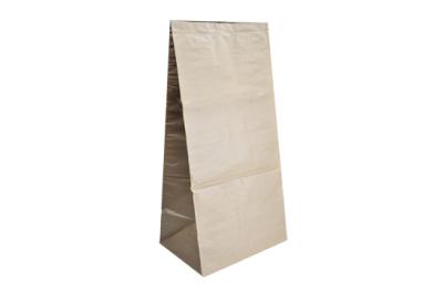 Leaves disposal bag