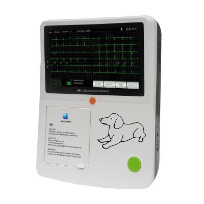 User-Friendly Vet-Specific Animal ECG Monitor With 7 Touchscreen Data Management Sleep Mode Keyboard Support