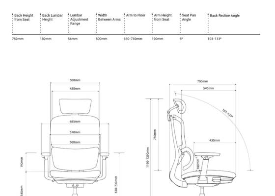 H2 Ergonomic Office Chair with 4.0 Dual-Back Design for Dynamic Spinal Support and Multiple Size Options