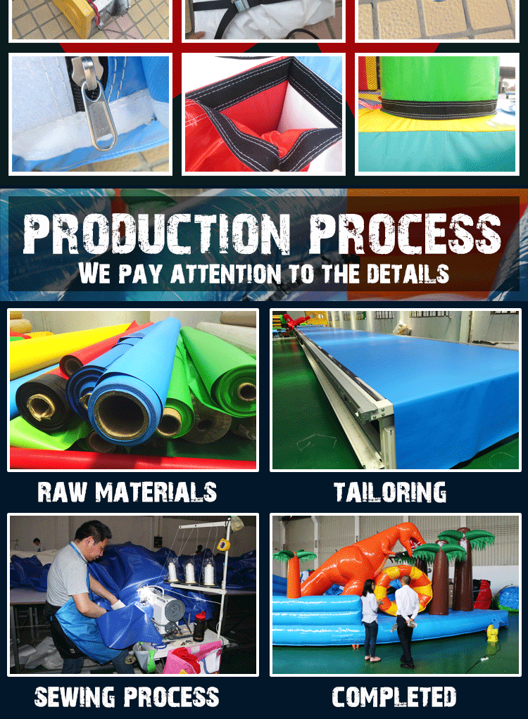 Inflatable Water Slide with Swimming Pool for Kids and Adults on Sale