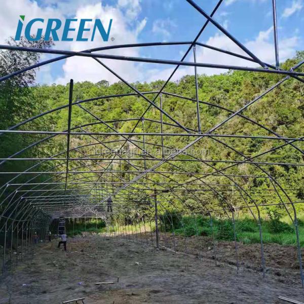 Steel Single-Span Small Greenhouse with PE Film Cover for Ducks or Chickens