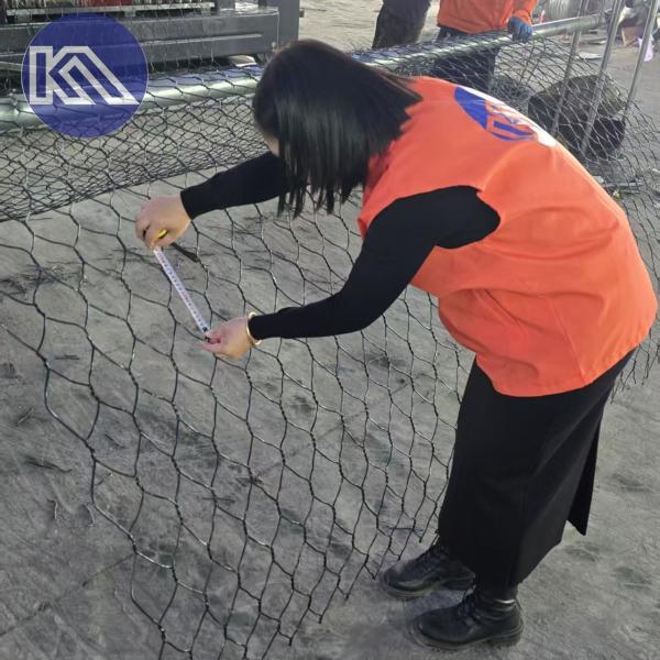 Galvanized Iron Wire Mesh Gabion Basket