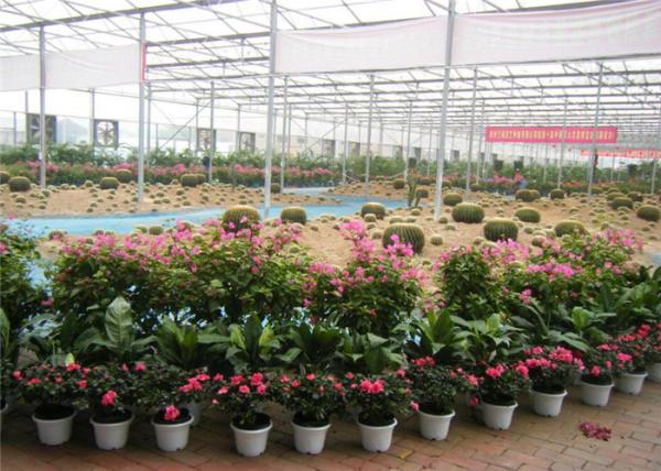 Silver Color Garden Glass Greenhouse With Enhanced Insulation Performance