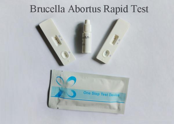 Plasma Specimen Blood Infection Test Detect Brucella Abortus Antigen 98% Accuracy
