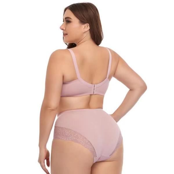 OEM Plus Size Bra Sets Sexy Lace Underwear Sustainable Breathable Bra And Brief Sets
