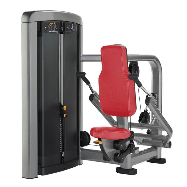 Máquina resistente comercial da aptidão da imprensa do tríceps de Crossfit do material desportivo do Gym