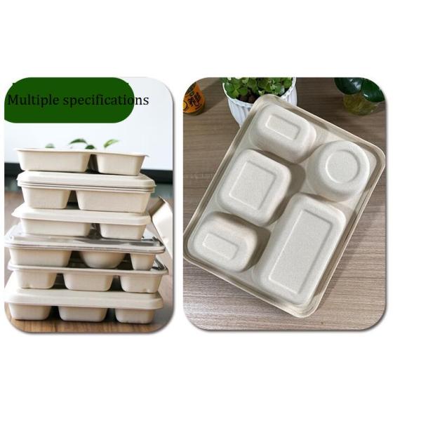 Соломы пшеницы Tableware отсека УПРАВЛЕНИЯ ПО САНИТАРНОМУ НАДЗОРУ ЗА КАЧЕСТВОМ ПИЩЕВЫХ ПРОДУКТОВ И МЕДИКАМЕНТОВ 6 коробка для завтрака Degradable устранимая