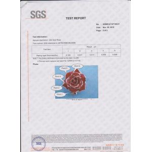 Dongguan Source of Love Jewelry Co., Ltd. Certifications