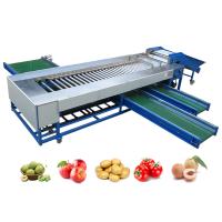 SUS304 Machine de tri à rouleaux utilisée pour le tri et le tri des fruits et légumes ronds