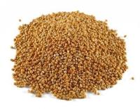 Máquina de classificação do arroz da máquina de classificação da cor do arroz integral de preço de fábrica das rampas de Wenyao 4