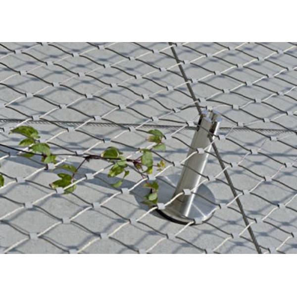 Сетка веревочки нержавеющей стали/шпалера завода или сеть безопасности фасада зд