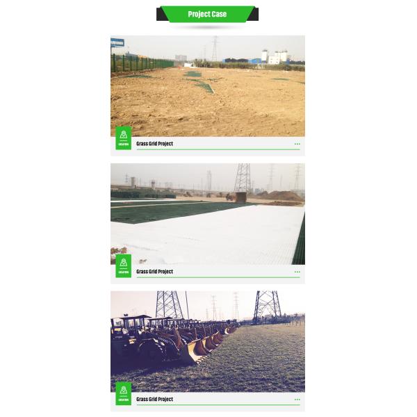 Защитите газон с помощью 480x520 мм стабилизации почвы проницаемой мостовой и пластиковой автомобильной мостовой