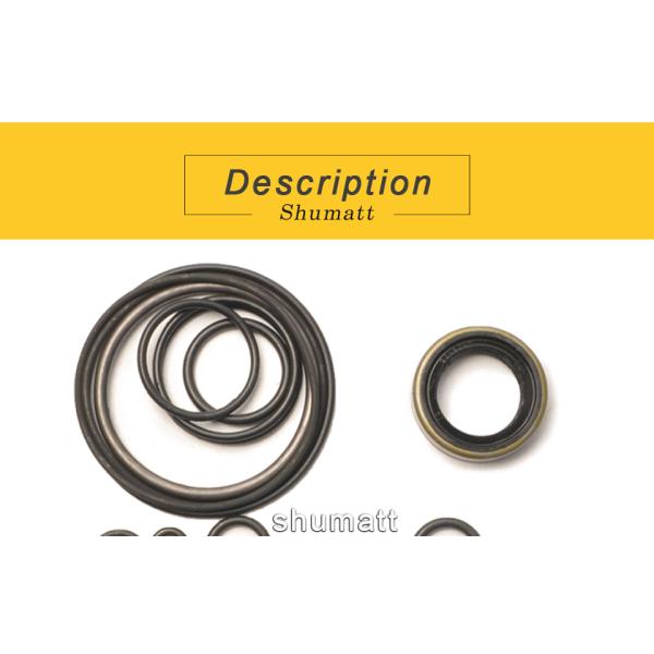 OEM new Shumatt Common Rail Fuel Pump Overhual Kit HP3 for diesel fuel engine