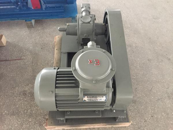 Gas Station Use Hand Held Vacuum Pump LPGP-2000 With Innovative Cam Design