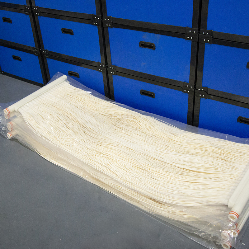 Domestic Compact MBR Membrane Module 5-1000 m³/d for Sewage Treatment Plant