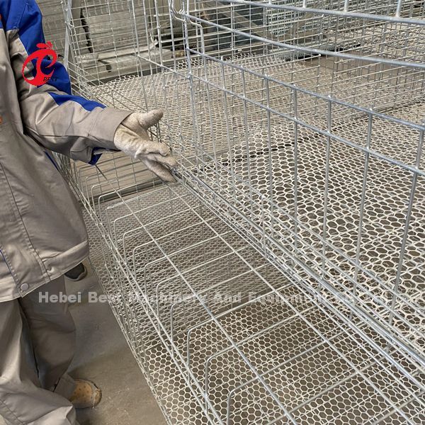 A Type Broiler Battery Cage Galvanized High Strength Poultry Broiler Cage  Iris