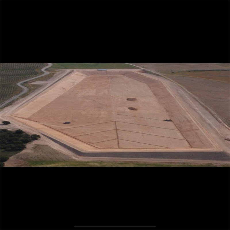 Пластиковый вкладыш пруда Geomembrane Hdpe HDPE 2mm LDPE Lldpe Geomembrana