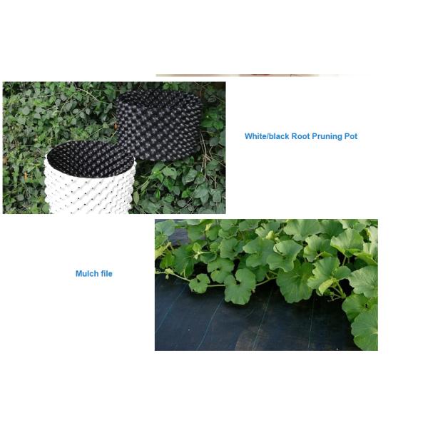 Крышка земли земледелия земной крышки HDPE сплетенная сеткой мульчирует циновку 1 до 1 засорителя фильма кв