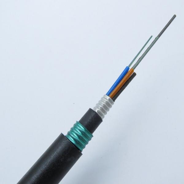 Cabo de fibra ótica blindado enterrado direto GYTA53 do núcleo de fibra ótica exterior do fornecedor 12 dos cabos