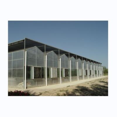 Super Strong Resistance 8mm Polycarbonate Covering Multi-Span Greenhouse for Tomatoes