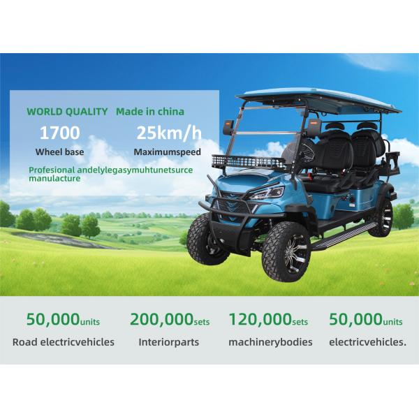 Electric Golf Buggy Cart with Legal Lithium Battery 48V 6 Seater 4*4 2 End Customized