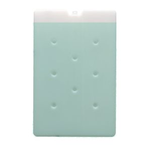 Leakproof Lightweight 200 Grams Gel Ice Pack Reusable Ice Brick Certified SGS RoHS CE ISO for Cooler Box
