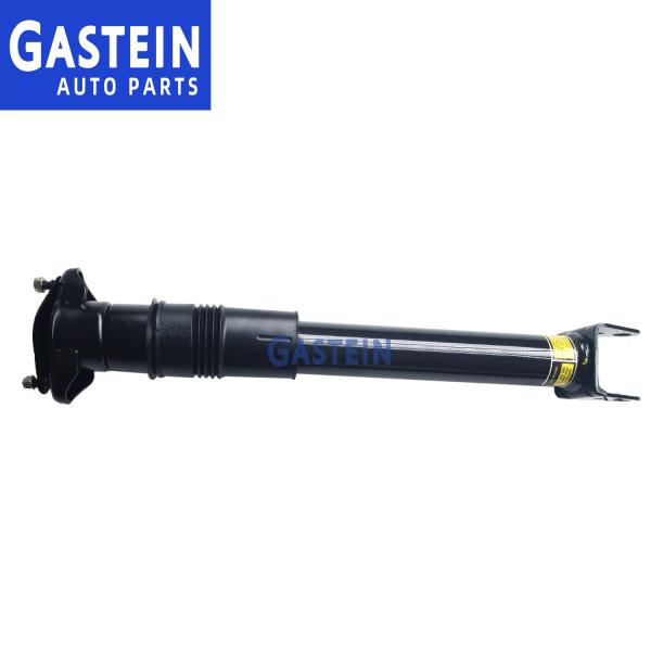 2513202231 Rear Suspension Shock Absorber For Mercedes W251 V251