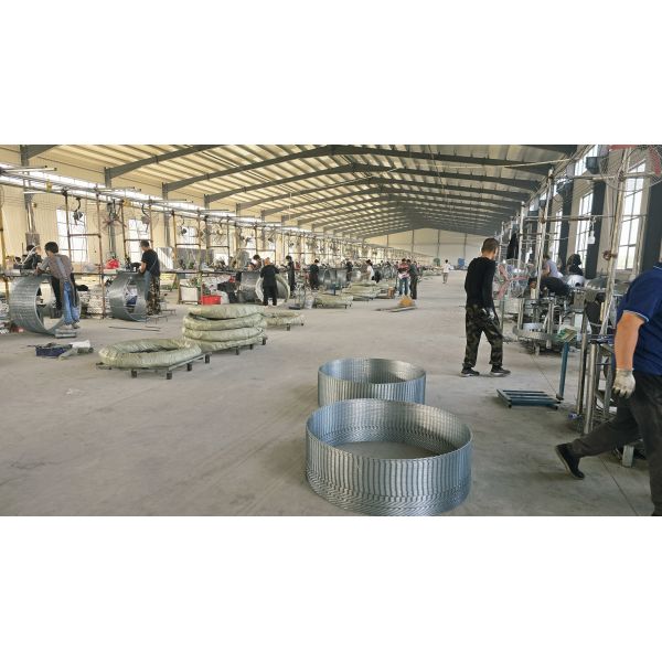 500 M Barbed Wire Galvanized Razor Wire Anti Climb Bird Protective