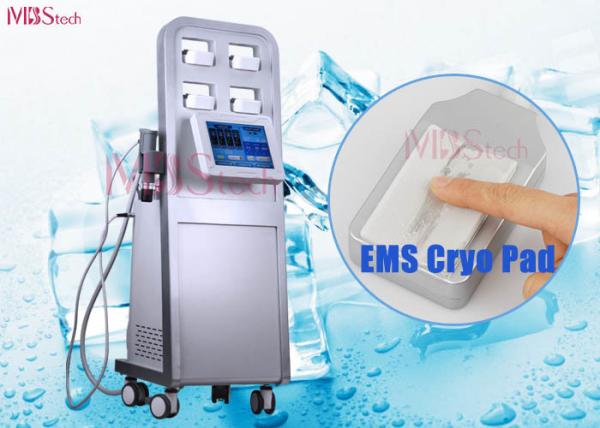 Máquina do emagrecimento de Cryolipolysis da inquietação