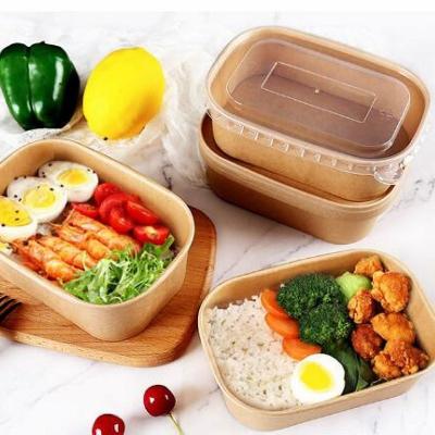 Eco Friendly Rectangular Paper To Go Container for Hot and Cold Food