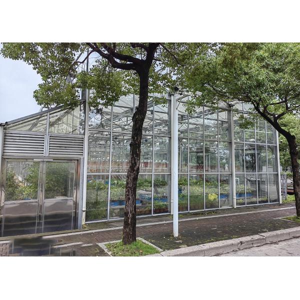 Heat & Cool Adjustable, Beautiful Good Looking VENLO Glass Greenhouses