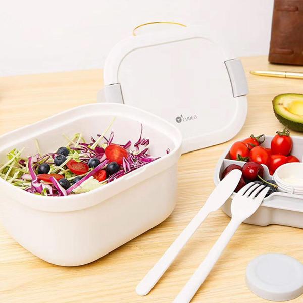 Large Capacity Take Away BPA Free Eco Friendly Food Container with Lid Fork and Knife
