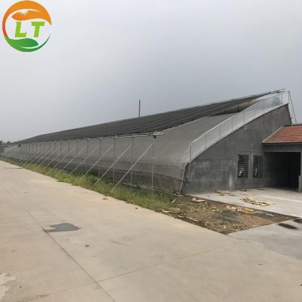 Hydroponic Greenhouse System for High Strength Solar Greenhouse and Vegetable Flower