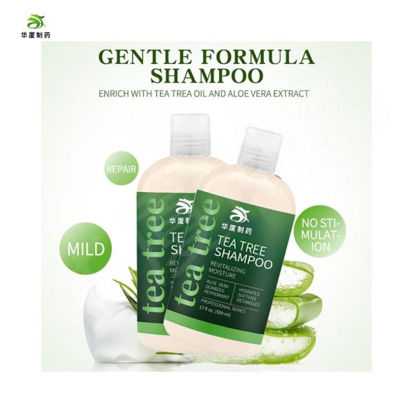 Tea Tree Oil Anti Hair Loss Shampoo