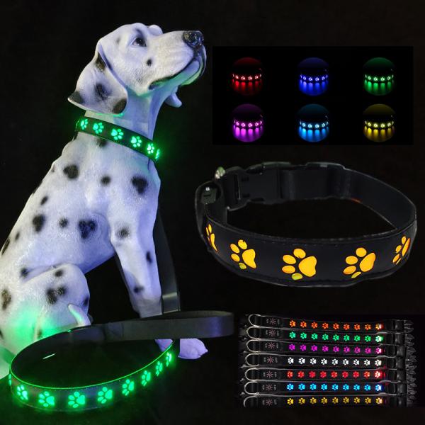 Rechargeable Led Dog Leash Illuminating Walking Night Glowing USB Rivet Decoration