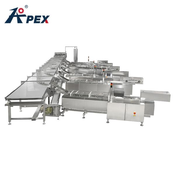 Automatic Smart Belt Feeding System Food Electric Belt Conveyor For Biscuit Product Line