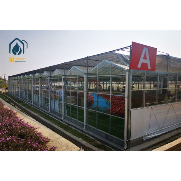 Automated Temperature and Humidity Controlled Multi Span Greenhouse with Heating System...