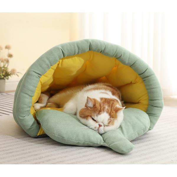 Calming Cozy Soft Cat Cave, Cute Friendly Dolphin Kitten On The Bed For Indoor Cats