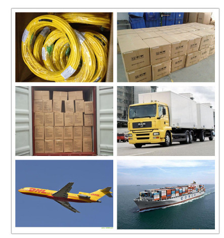 SC UPC FC APC SM Duplex Single Mode/ Multi Mode Fiber Optic Patch Cord