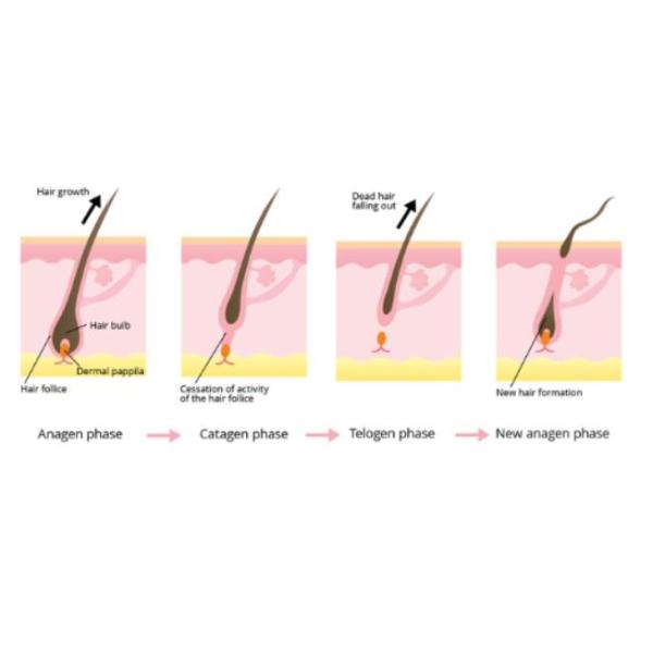 ODM 4000W Skin Therapy IPL Hair Removal Device OPT SHR Technology