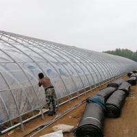 Túnel solar passivo do filme plástico da estufa do inverno da área fria único