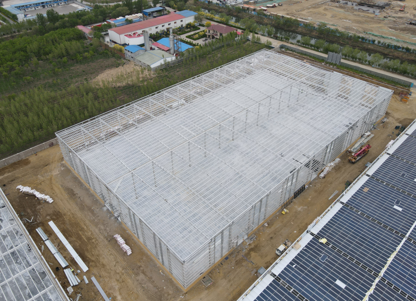Cost‑Effective Steel Structure Warehouse Construction